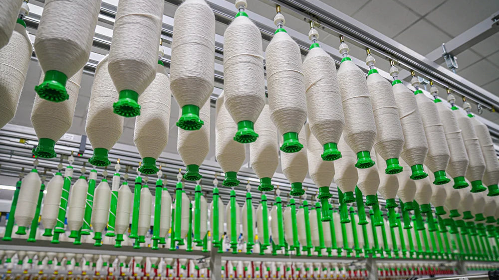 Nurturing Nature: A Glimpse Into Our Sustainable Factory's Eco-Friendly Practices