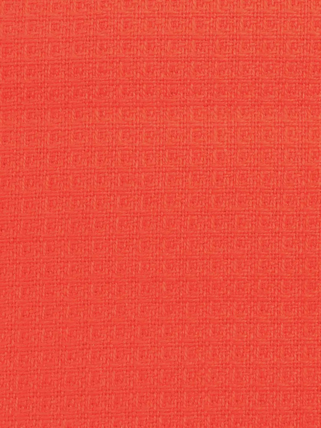 Organic Cotton Mid-Weight  Jaquard（OG11615A） - Bastine