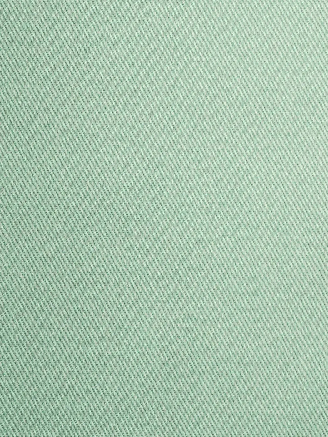 Pure Organic Cotton Middle Weight Jersey ( OG12123 ) - Bastine